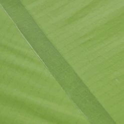 VAUDE LIZARD SEAMLESS 1-2P - Einpersonenzelt -Frilufts Geschäft 5637736447 af power lizard seamless 12p cress green vaude 24