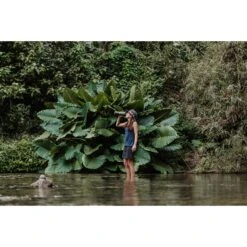 Grayl GEOPRESS PURIFIER - Trinkwasserfilter -Frilufts Geschäft 5637917282 f geopress purifier grayl 24